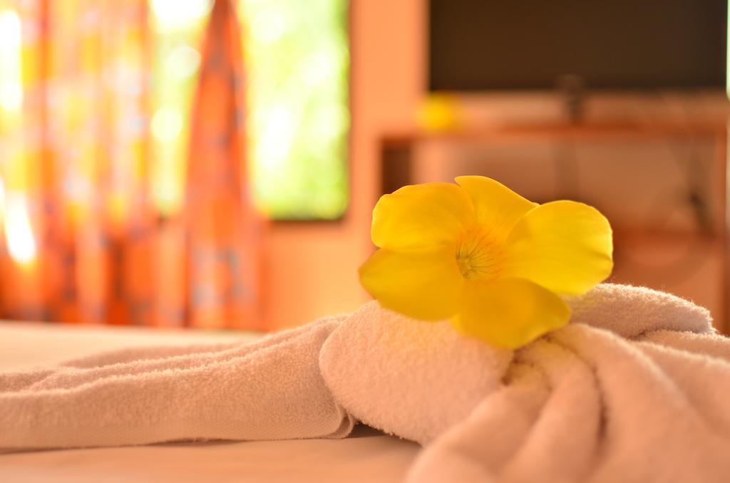 Apartamentos Herrera Puerto Jiménez Oda fotoğraf
